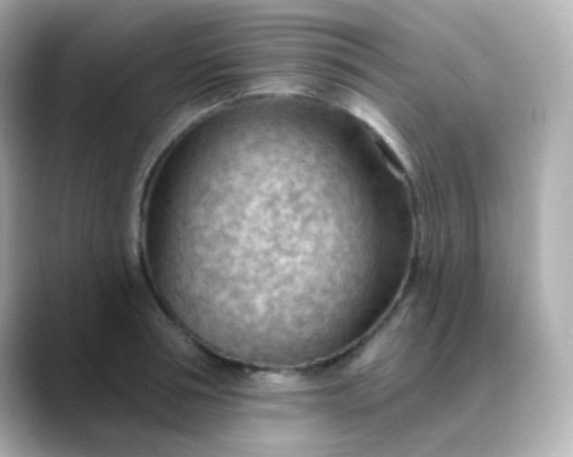 X0000088410994200706051150