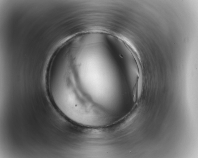 X0000088410995200706051150