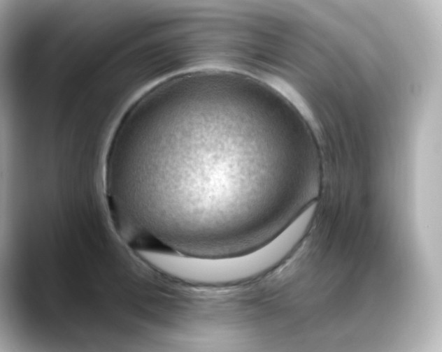 X0000088410996200706051150