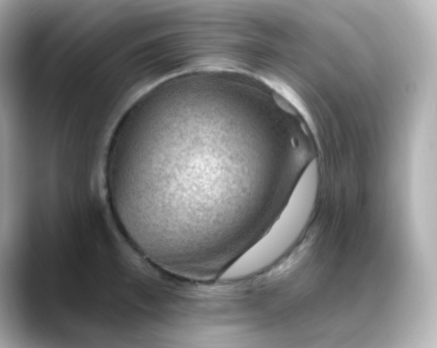 X0000088410997200706051150