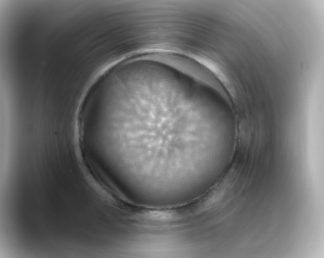 X0000088410998200706051150