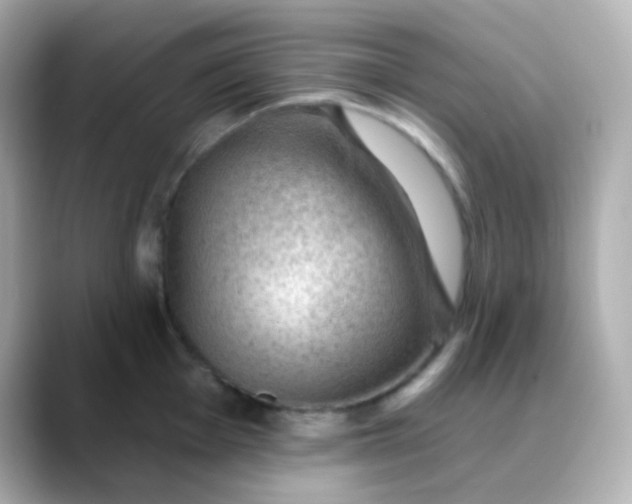 X0000088411001200706051150