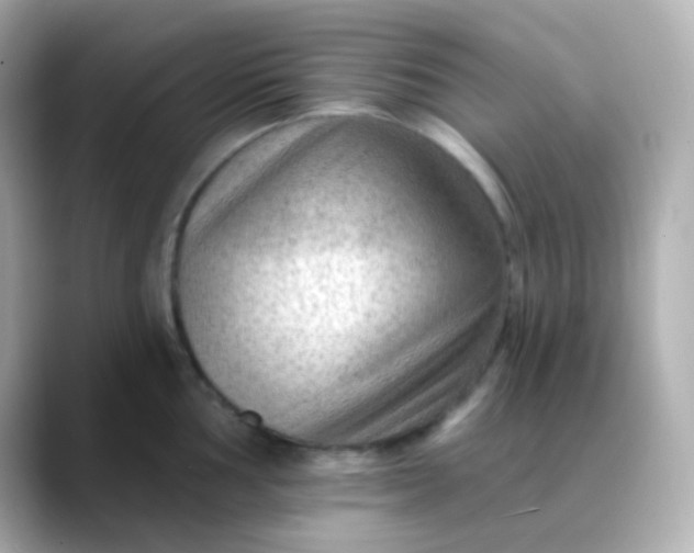 X0000088411002200706051150