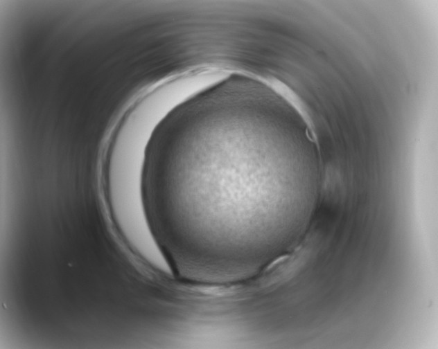 X0000088411005200706051150