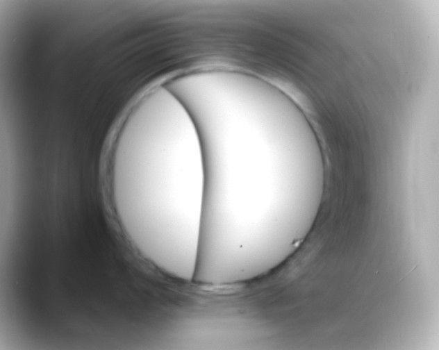 X0000088411008200706051150
