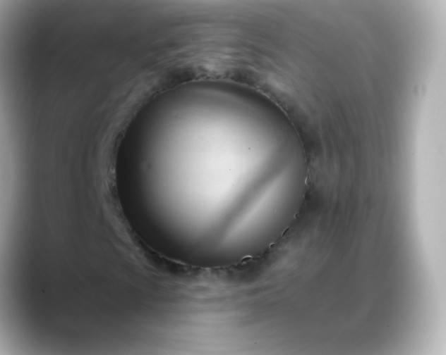 X0000088411009200706051150