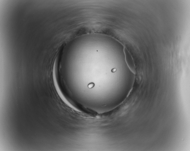 X0000088411010200706051150
