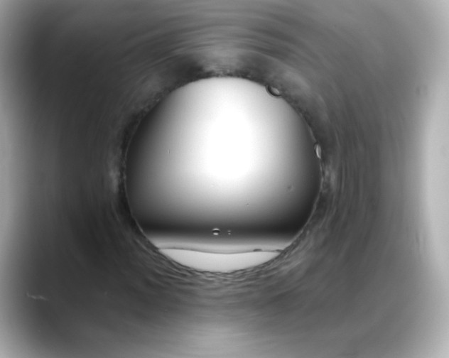 X0000088411012200706051150