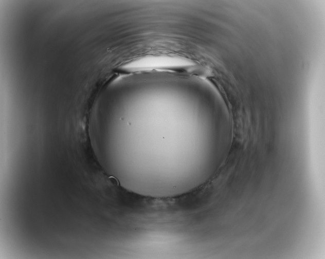X0000088411013200706051150