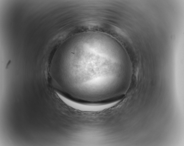 X0000088411014200706051150