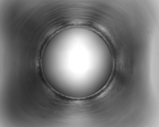 X0000088411017200706051150