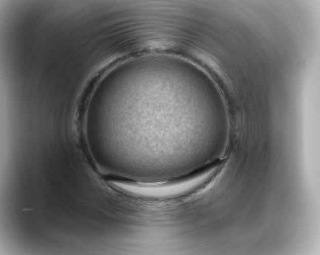 X0000088411018200706051150
