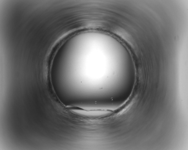 X0000088411021200706051150