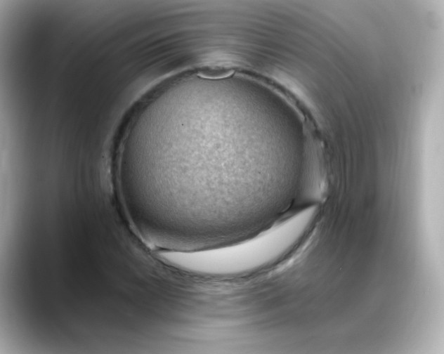 X0000088411022200706051150