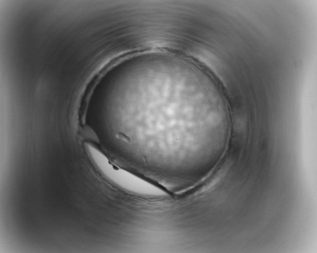 X0000088411023200706051150