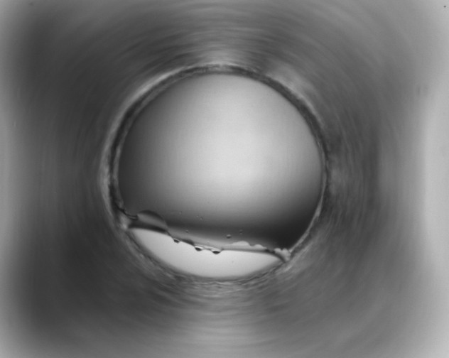 X0000088411024200706051150