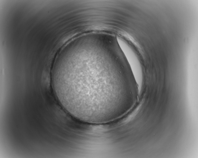 X0000088411025200706051150