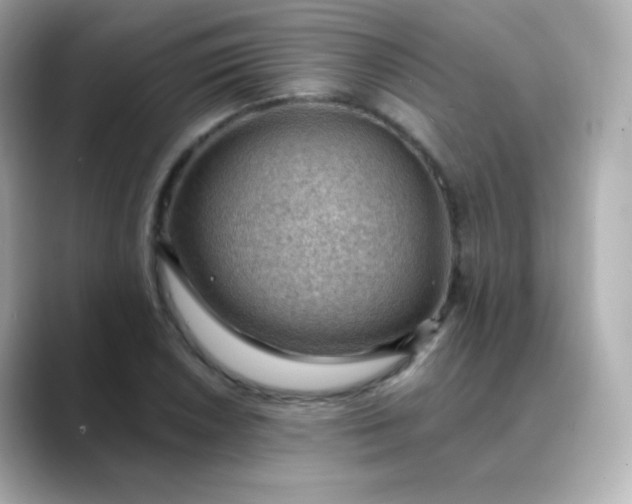 X0000088411026200706051150