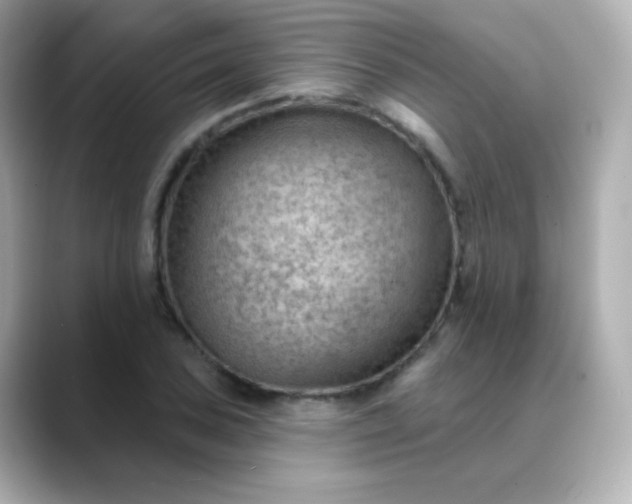 X0000088411027200706051150