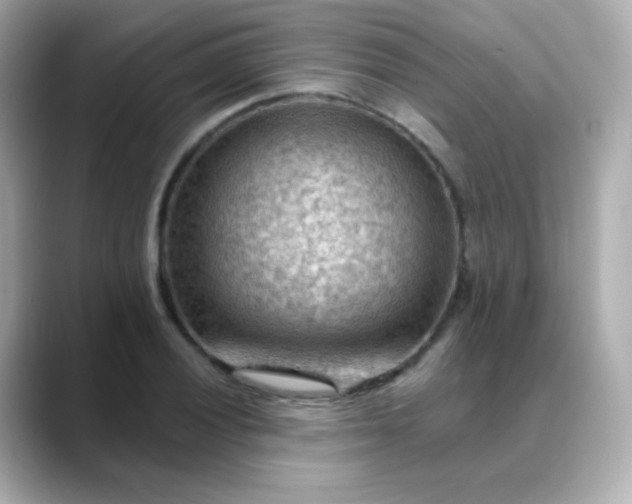 X0000088411028200706051150