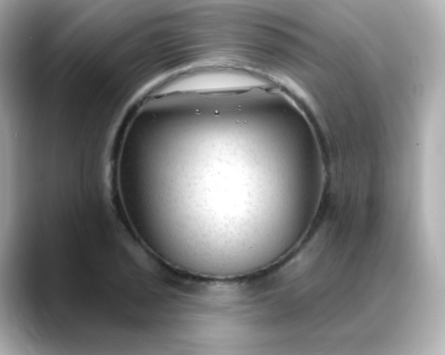 X0000088411029200706051150