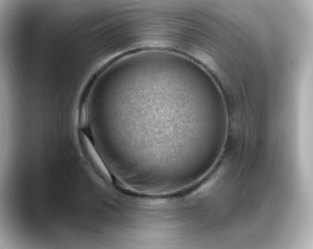 X0000088411030200706051150