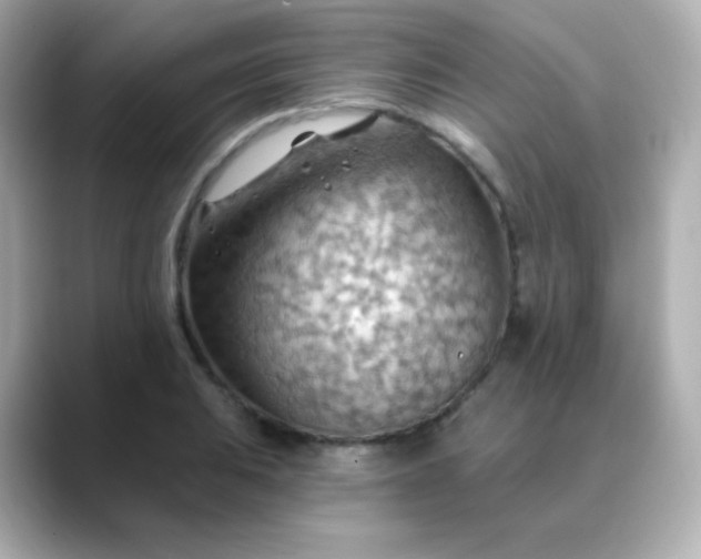 X0000088411031200706051150