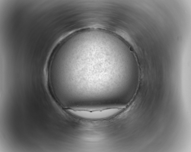 X0000088411032200706051150