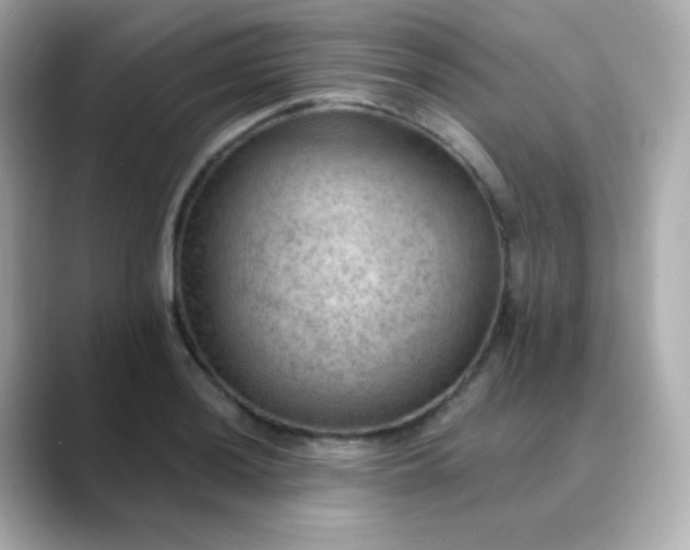 X0000088411036200706051150