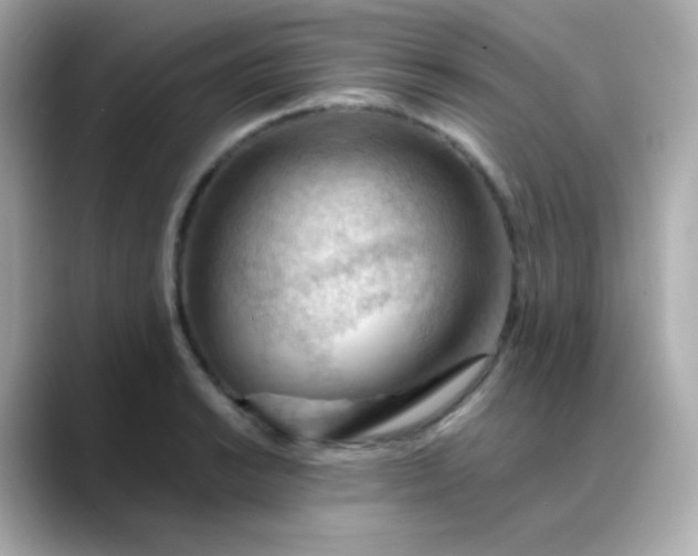 X0000088411038200706051150