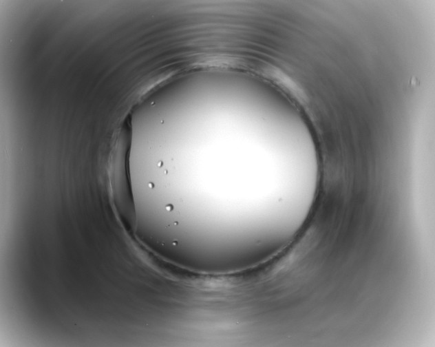 X0000088411041200706051150