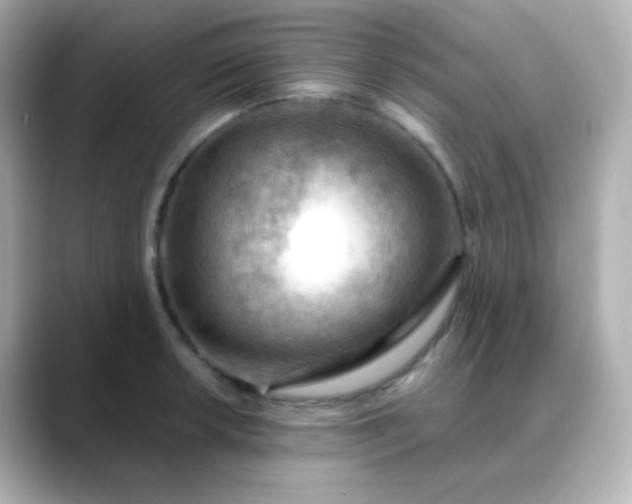 X0000088411042200706051150