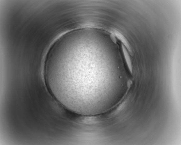 X0000088411043200706051150