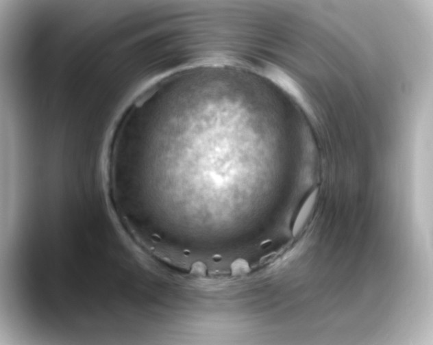 X0000088411046200706051150