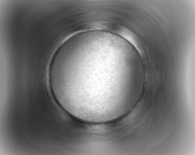 X0000088411047200706051150