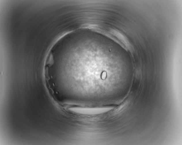X0000088411050200706051150