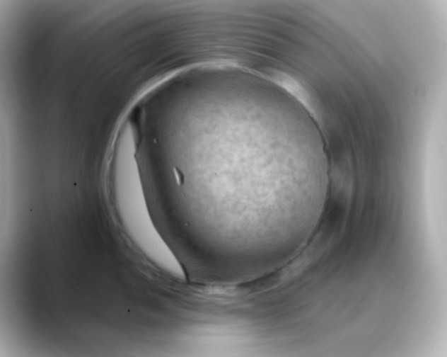 X0000088411052200706051150