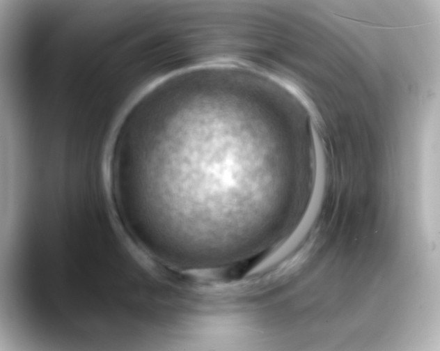 X0000088411054200706051150