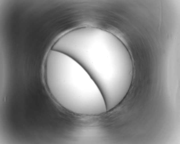 X0000088411056200706051150