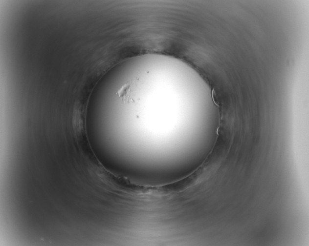X0000088411058200706051150