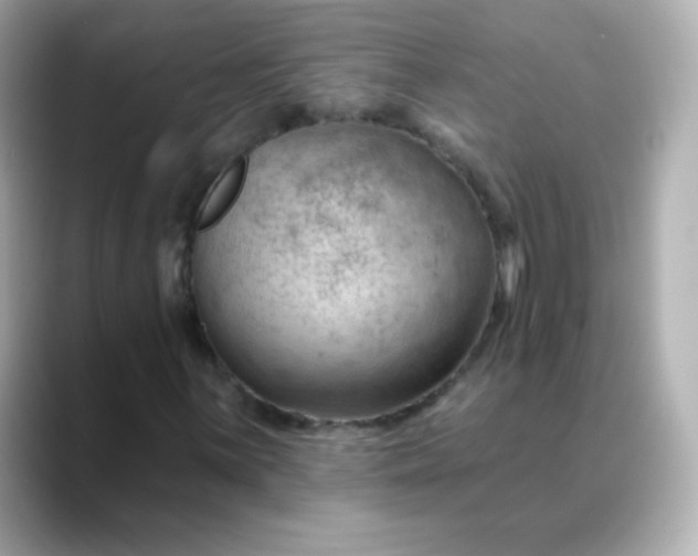 X0000088411059200706051150