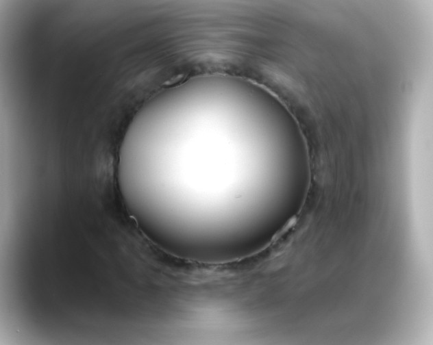 X0000088411061200706051149