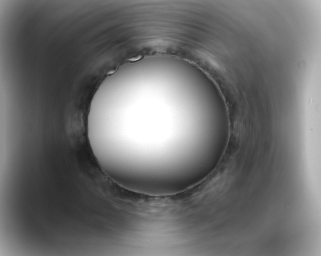 X0000088411062200706051149