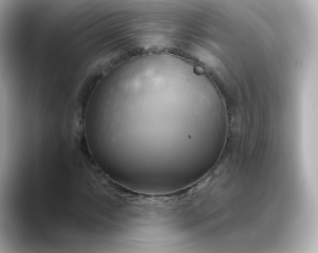 X0000088411063200706051149