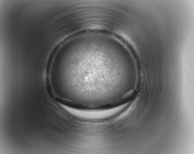 X0000088411065200706051149