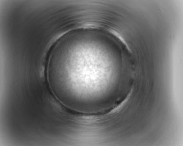 X0000088411066200706051149