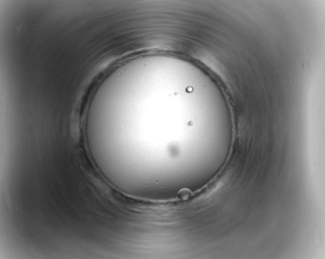 X0000088411067200706051149