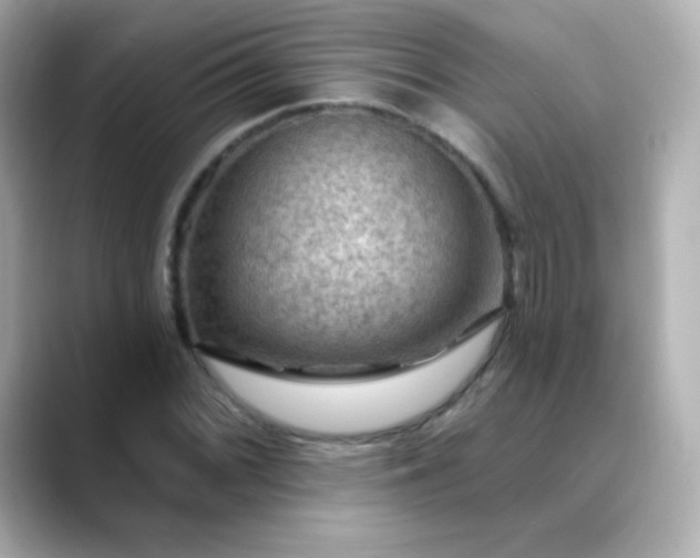 X0000088411068200706051149
