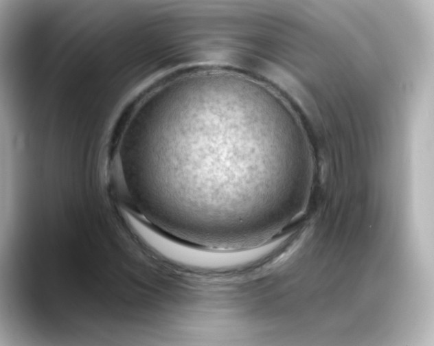 X0000088411069200706051149