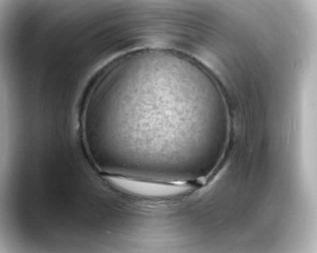 X0000088411070200706051149